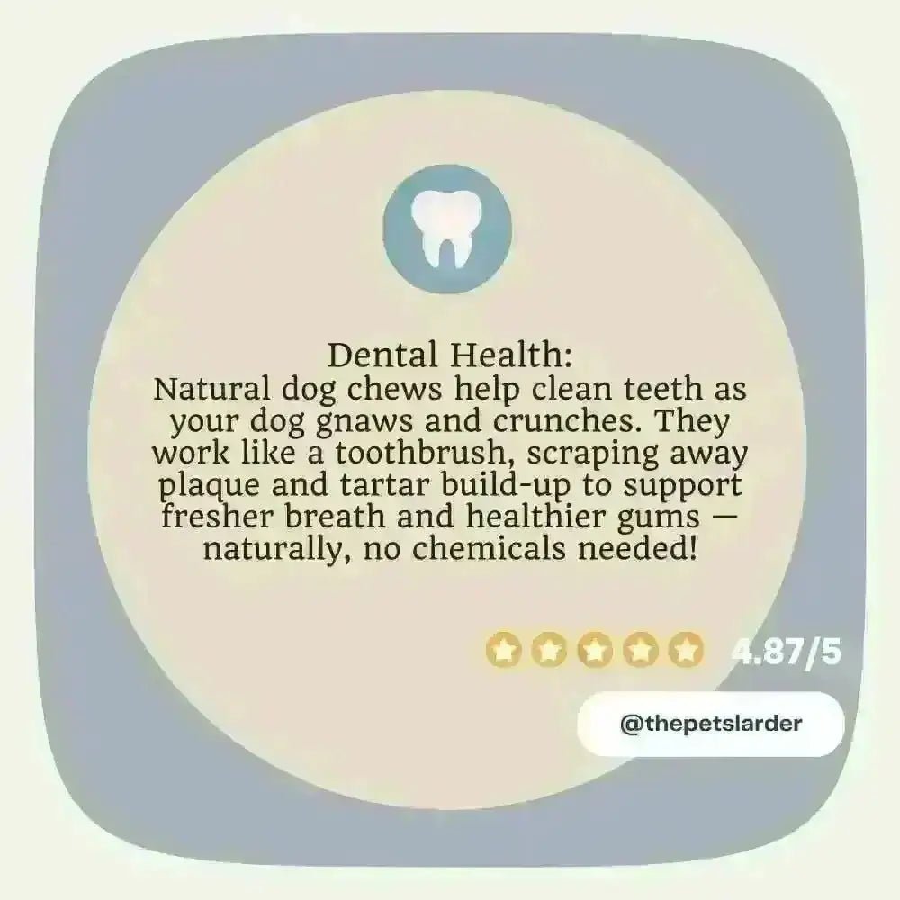 Ostrich Bone Natural Chew for Dogs with dental care, blue tooth icon, star rating