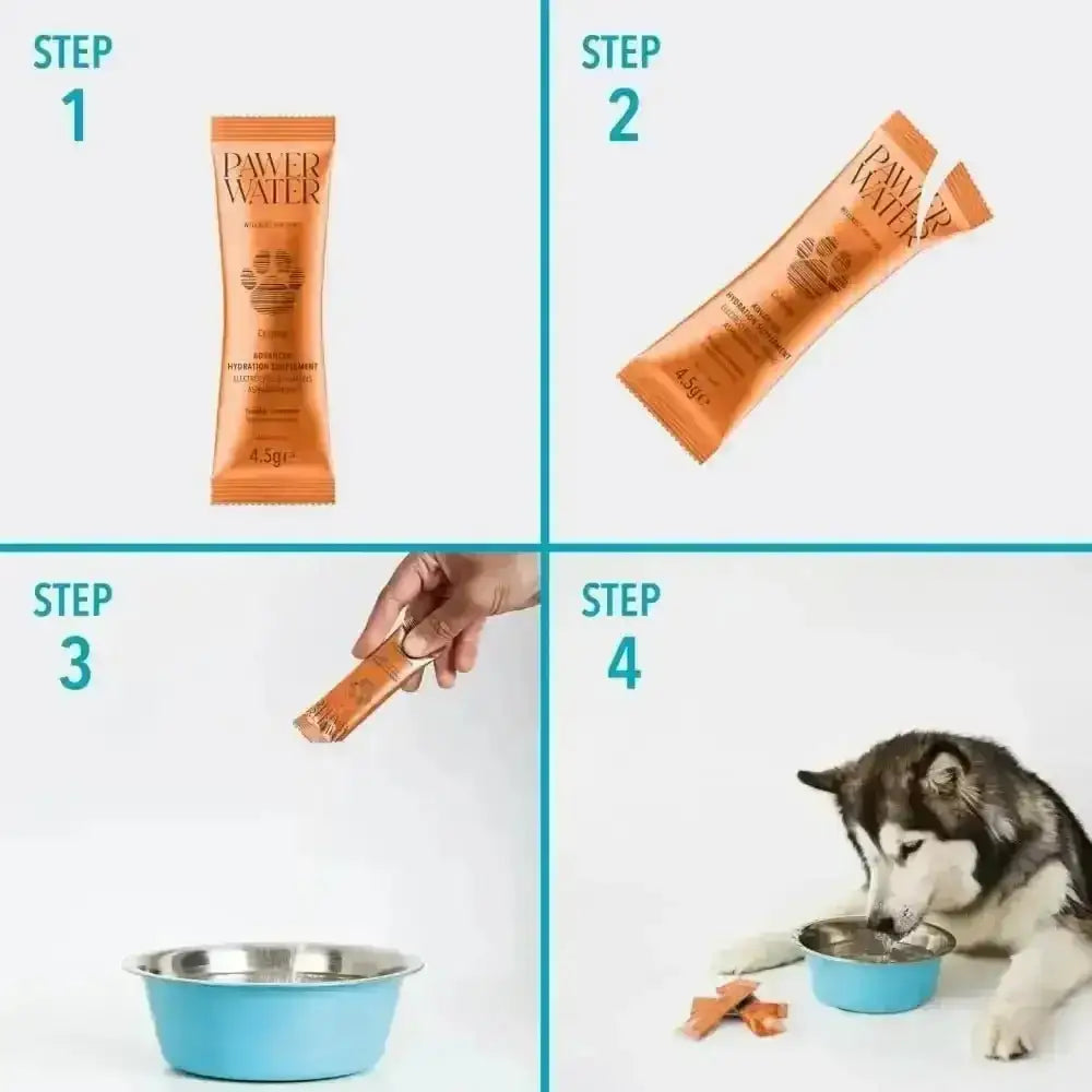 Orange tube of Pawer Water Calming dog treats with a salmon-colored treat inside