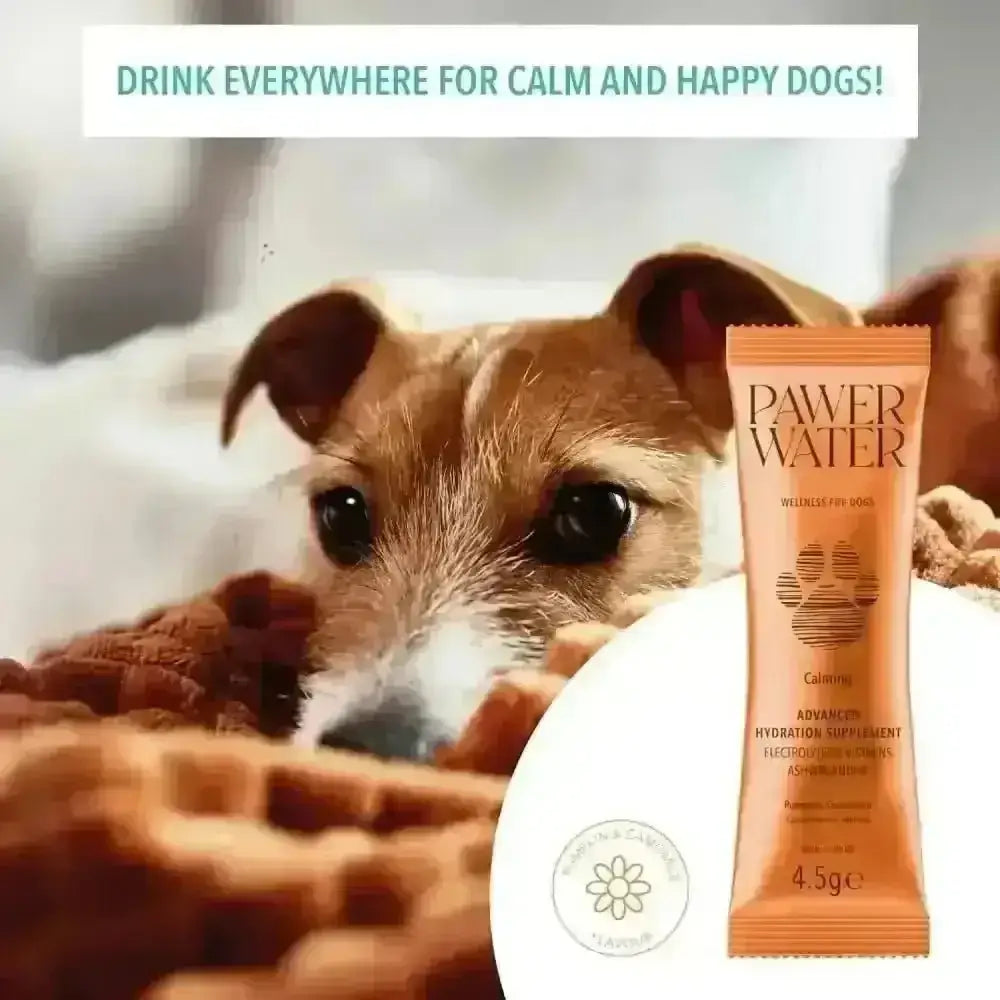 Pawer Water Calming hydration supplement stick with orange and white paw print packaging