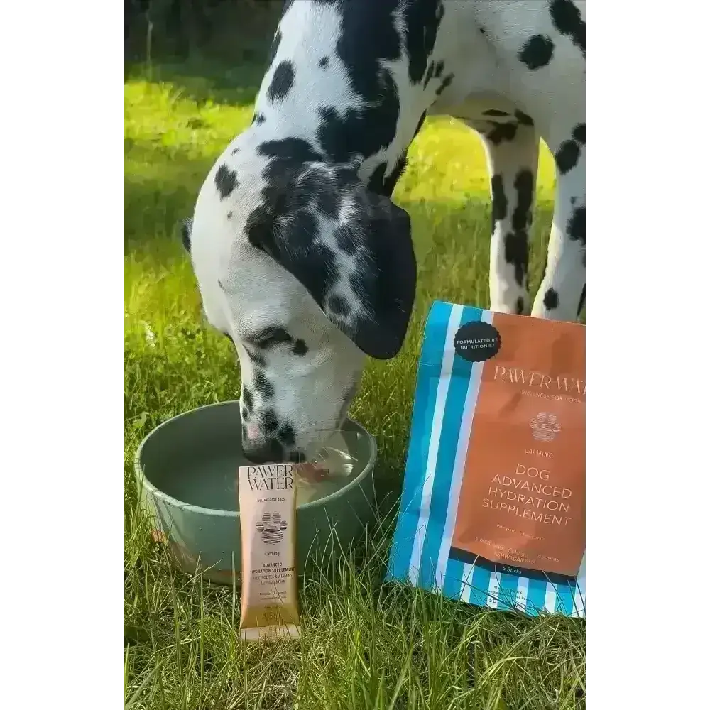 Dog hydration supplement tube with orange and blue packaging for Pawer Water Calming