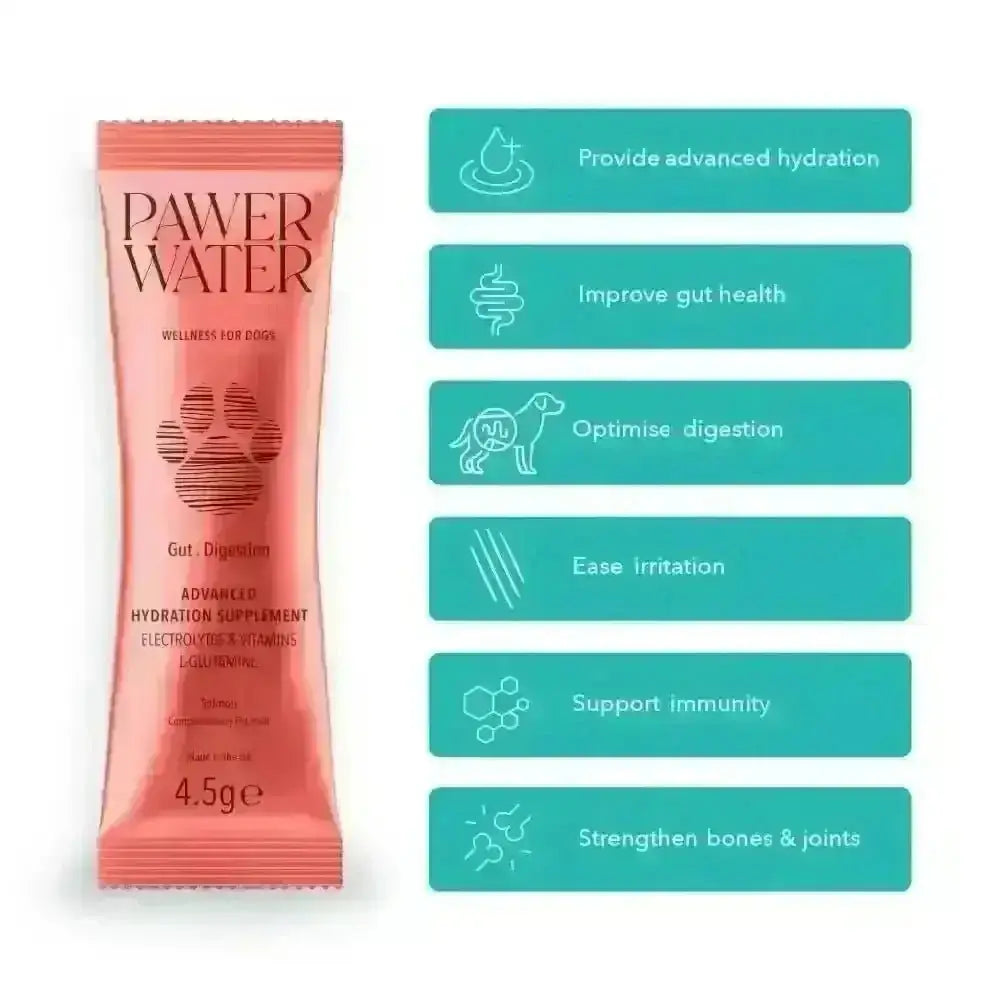 Pink pawer water gut support packet with electrolyte and glucosamine for dogs