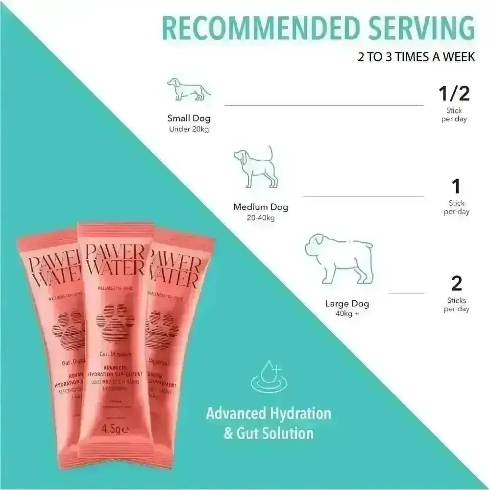 Pawer Water Gut Support sticks for hydration and digestive health in pets