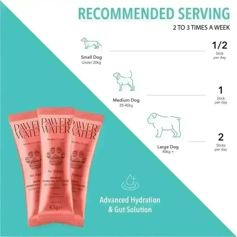 Pawer Water Gut Support sticks for hydration and digestive health in pets
