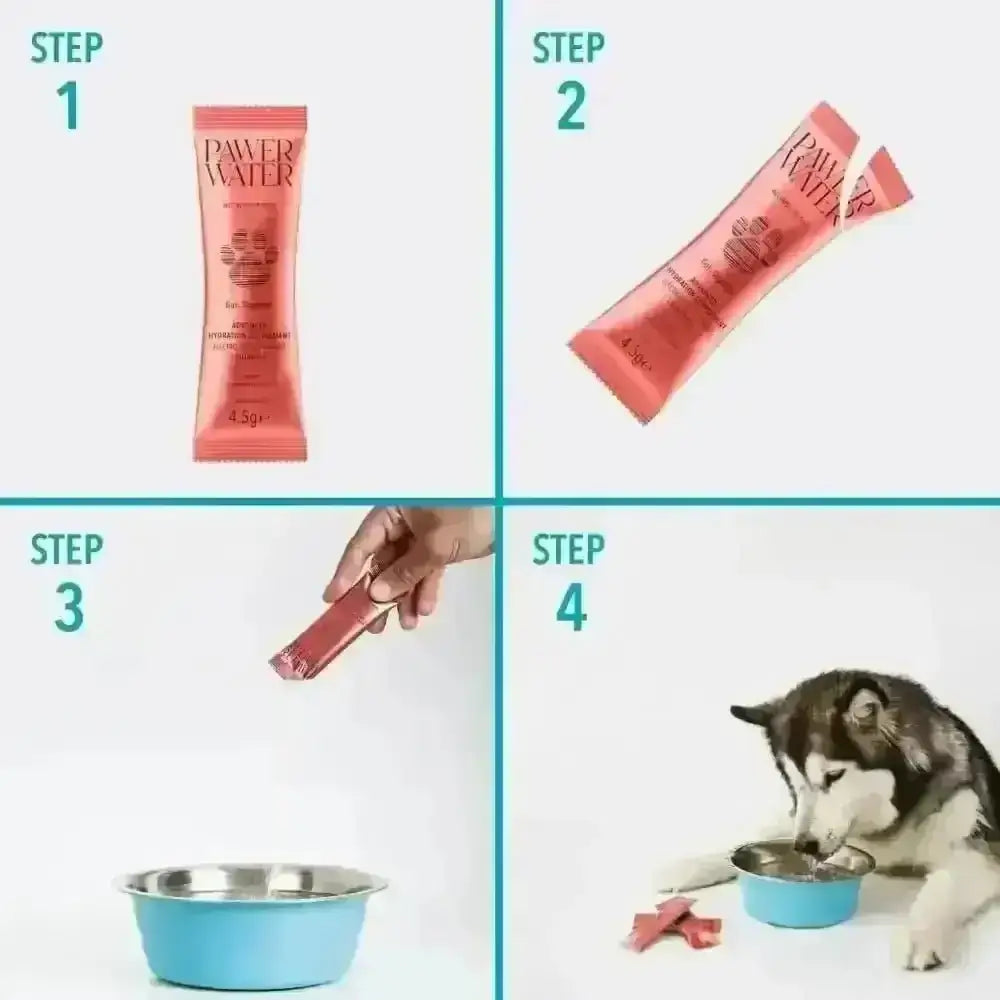 Pawer Water Gut Support dog treat sticks in pink and white packaging with Paw Water branding