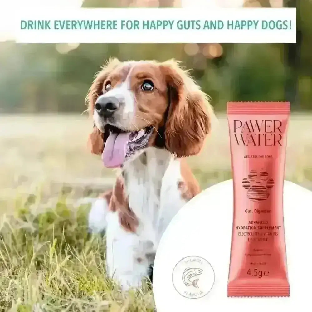 Alt text for Pawer Water Gut Support dog treat tube with pink orange flavor, natural hydration