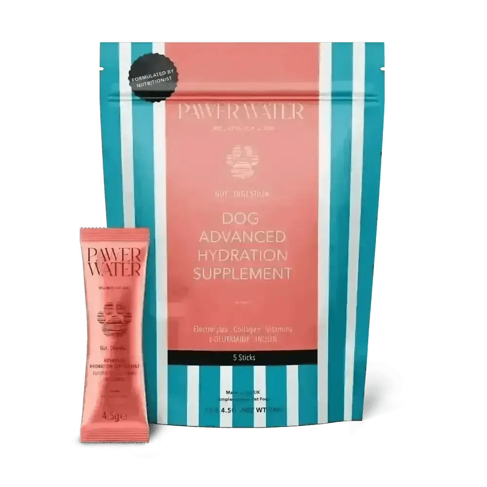 Pawer Water Gut Support supplement with pink and teal packaging featuring paw print design