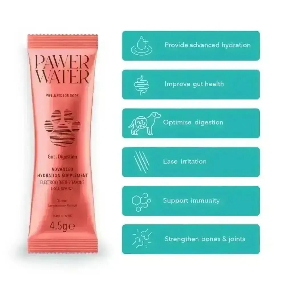 Pink Pawer Water Gut Support packet with electrolyte and glucosamine for dogs