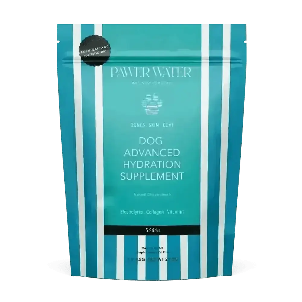 Teal and white striped Pawer Water Joint Support supplement packet with 5 sticks for dogs