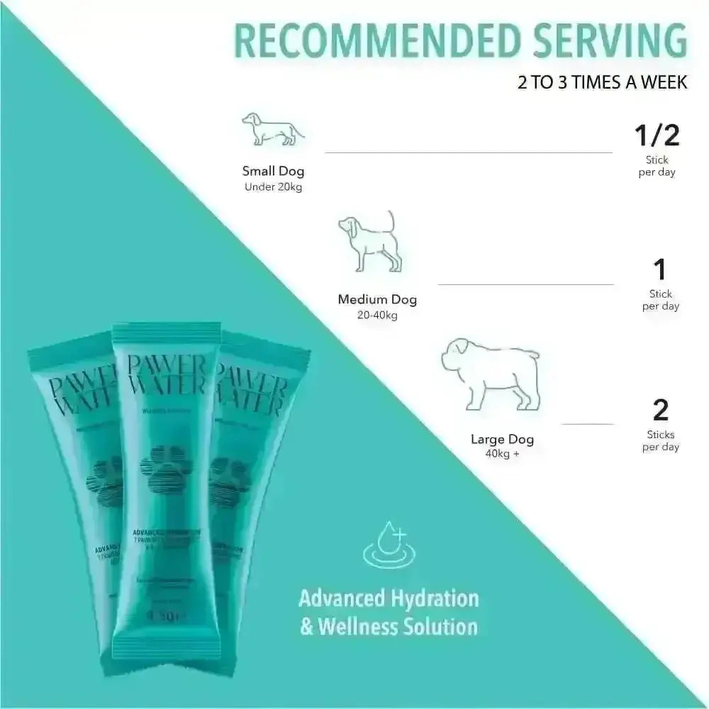 Teal Pawer Water Joint Support tube with white label for dog hydration and wellness