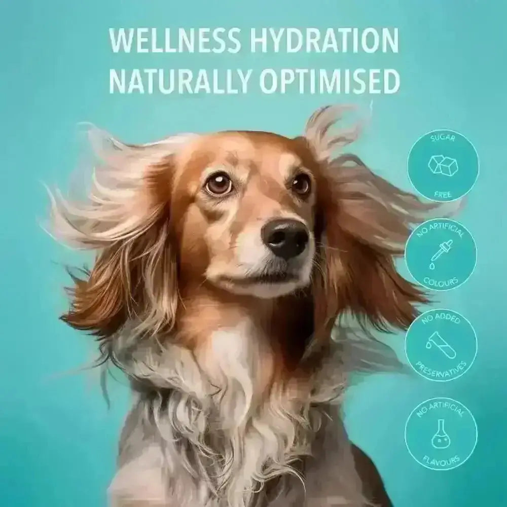 Dog water bottle from Pawer Water Joint Support pouch for hydration and joint health