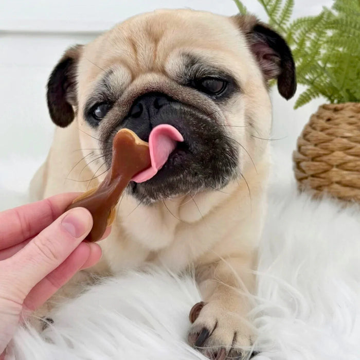 Peanut Butter Bone Chews For Dogs - 2kg Bag - Natural Dog Chew