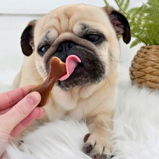 Peanut Butter Bone Chew for Dogs | Natural Vegetable Chews for Dogs