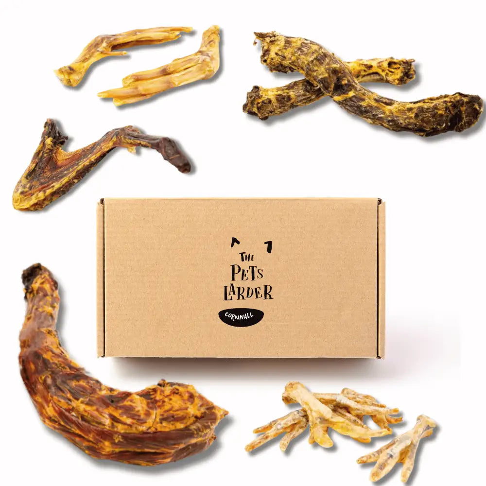 Perfectly Poultry natural meat chew box with assorted dried dog chews