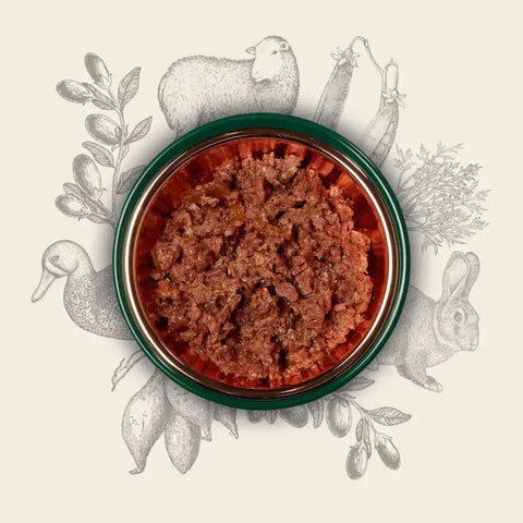 Eden Country Cuisine wet food in red bowl with green rim, kibble and veggies
