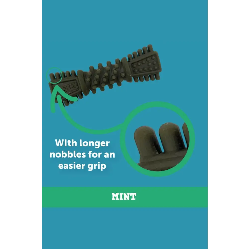 Petello Nobblys Tough Brush Mint dental chew toy for tartar reduction