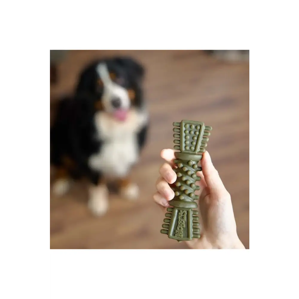 Petello Nobblys Tough Brush Mint dental chew toy in olive green, 80g box of 24
