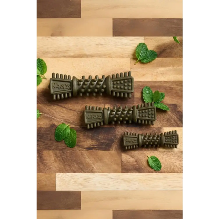 Petello Nobblys Tough Brush Mint 80g | Natural vegetable chews for dogs
