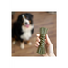 Petello Nobblys Tough Brush Mint 80g | Natural vegetable chews for dogs
