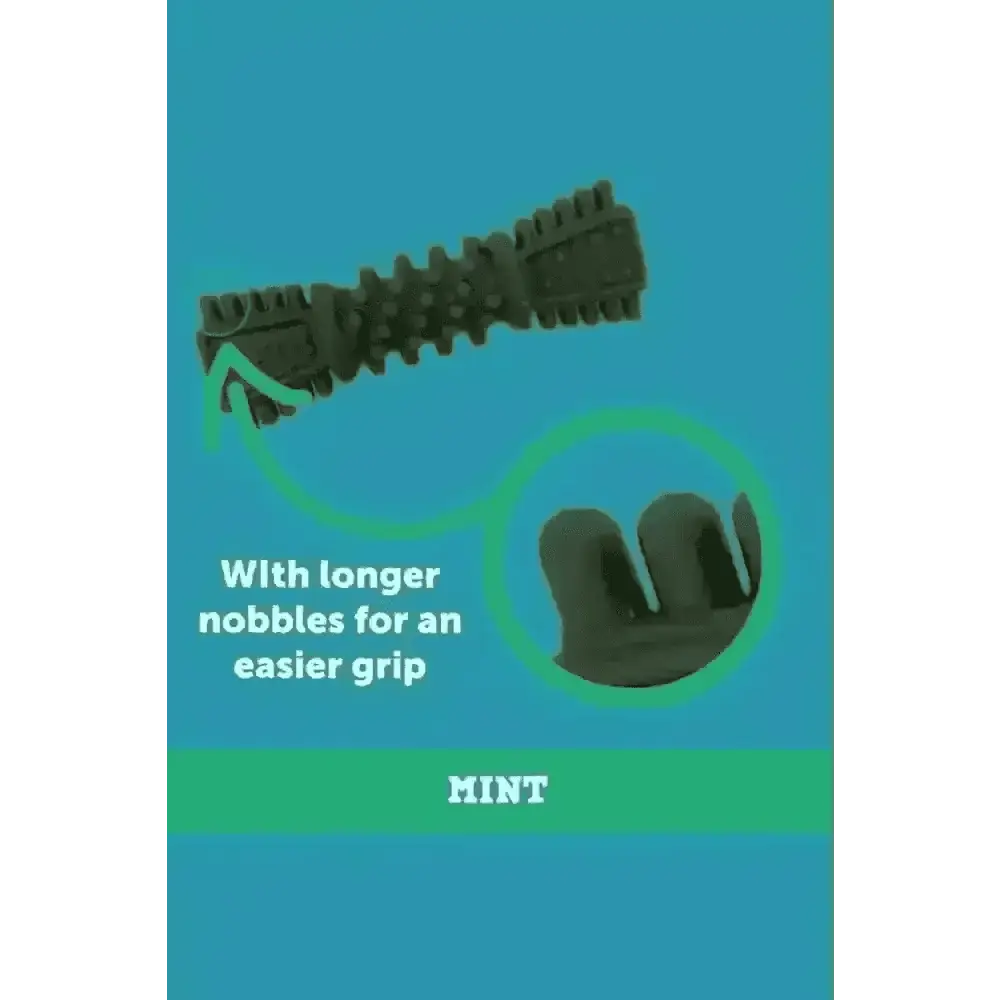 Petello Nobblys Tough Brush Mint dog chew toy with textured nobbles for grip