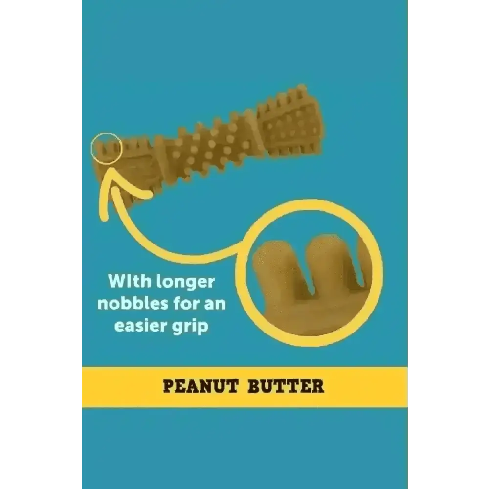 Petello Nobblys Tough Brush peanut butter dog chew toy with textured grip and nozzles