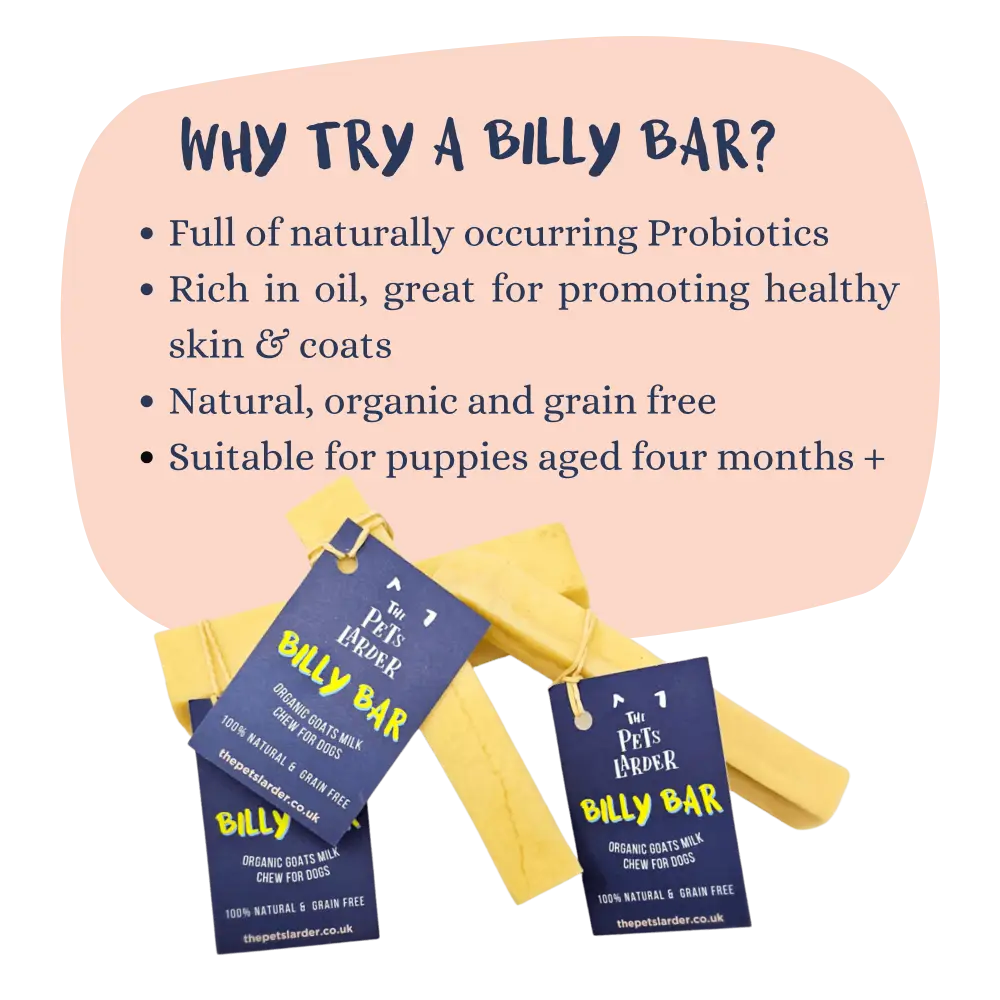 Pets Larder Billy Bar - Organic Goats Milk Chew For Dogs Available Online At The Pets Larder Natural Pet Shop.
