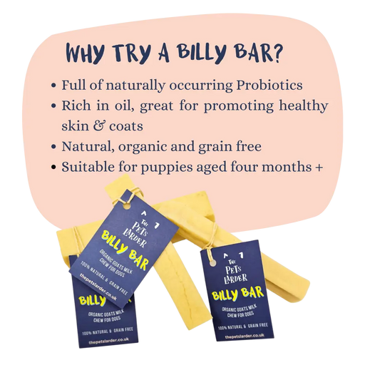 Pets Larder Billy Bar - Organic Goats Milk Chew For Dogs Available Online At The Pets Larder Natural Pet Shop.