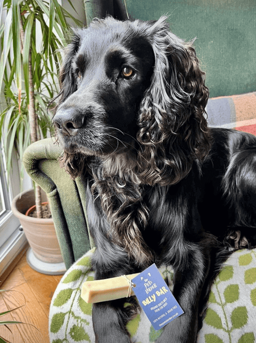 Pets Larder Billy Bar - Organic Goats Milk Chew For Dogs Available Online At The Pets Larder Natural Pet Shop.