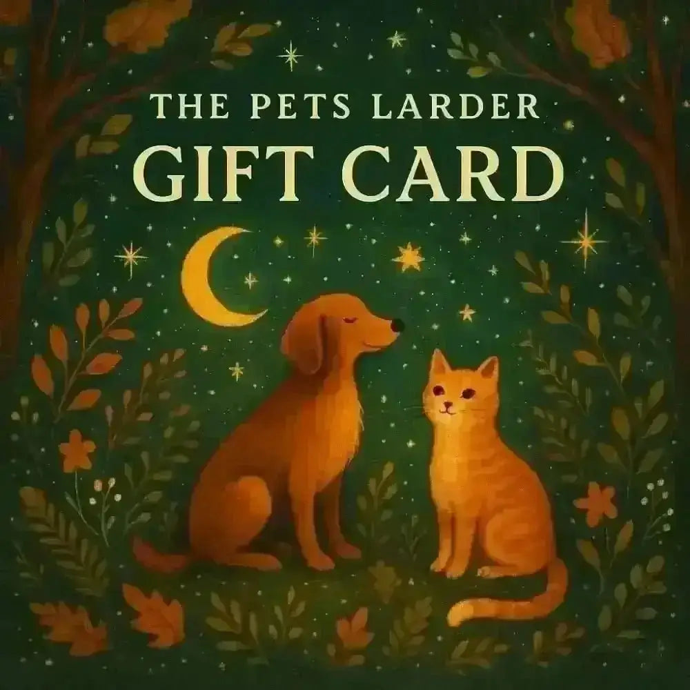 Pets Larder gift card with dog, cat, moon and stars on green background