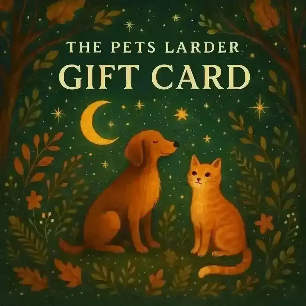 Pets Larder gift card with dog, cat, moon and stars on green background