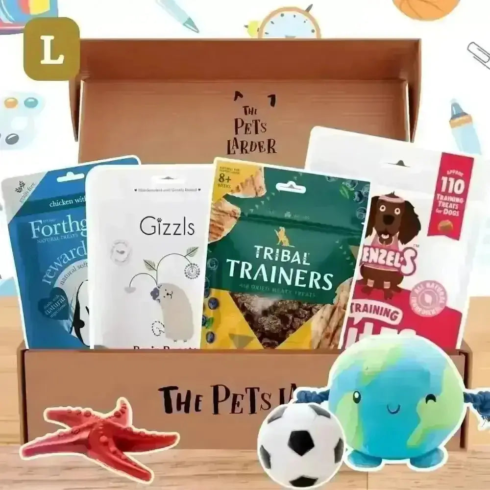 The Pets Larder dog treat box with soopa pumpkin spiced toys and bones