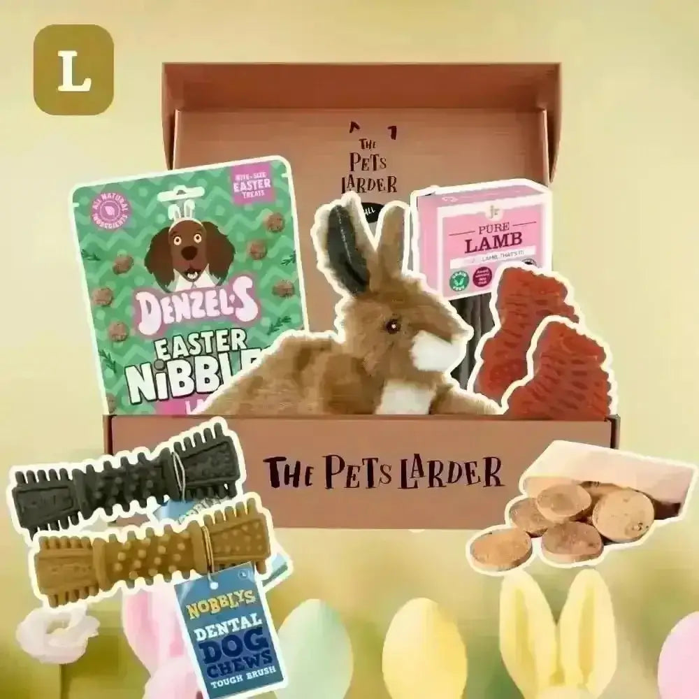 The Pets Larder - Monthly Treat Subscription Box for Dogs Large - Natural Treats | Pet Shop