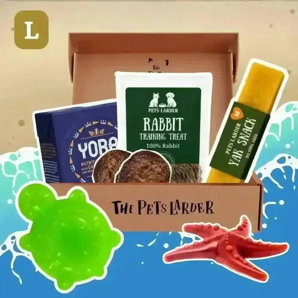 The Pets Larder - Monthly Treat Subscription Box for Dogs Large - Natural Treats | Pet Shop