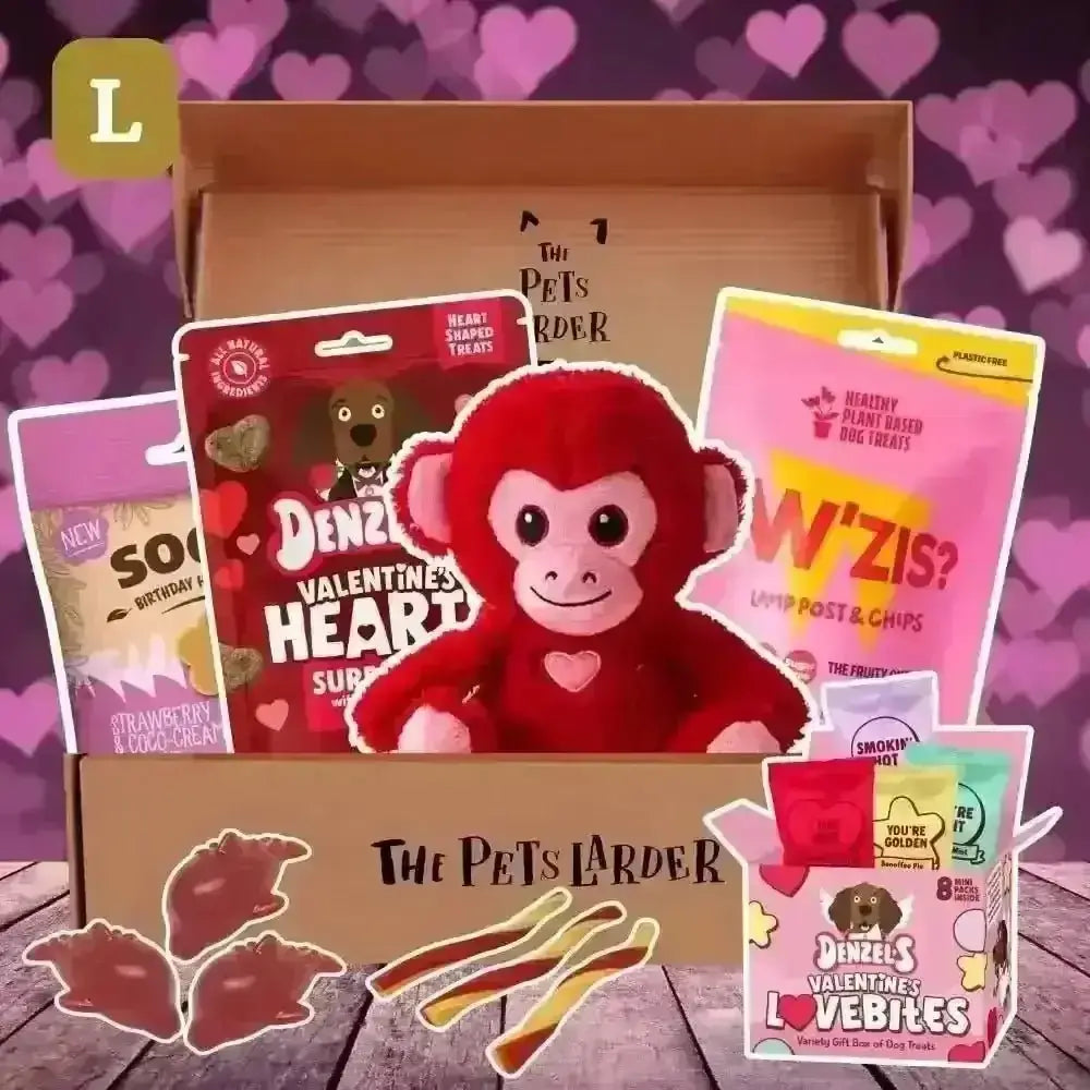 Red plush monkey toy in The Pets Larder dog treat box