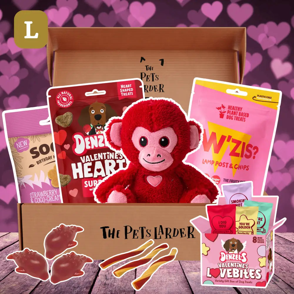 Red plush monkey toy in The Pets Larder dog treat box