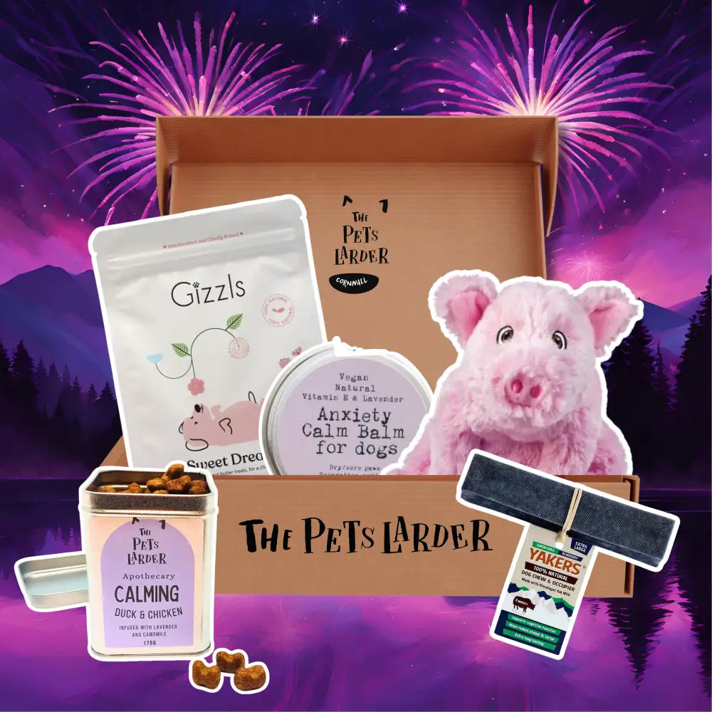 The Pets Larder Large Dog Treat Box with Piggy Design and Fireworks