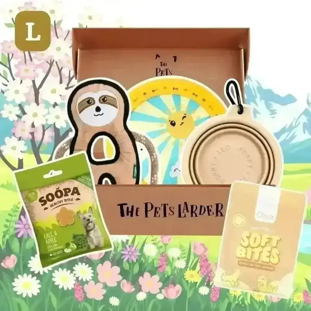 The Pets Larder - Monthly Treat Subscription Box for Dogs Large - Natural Treats | Pet Shop