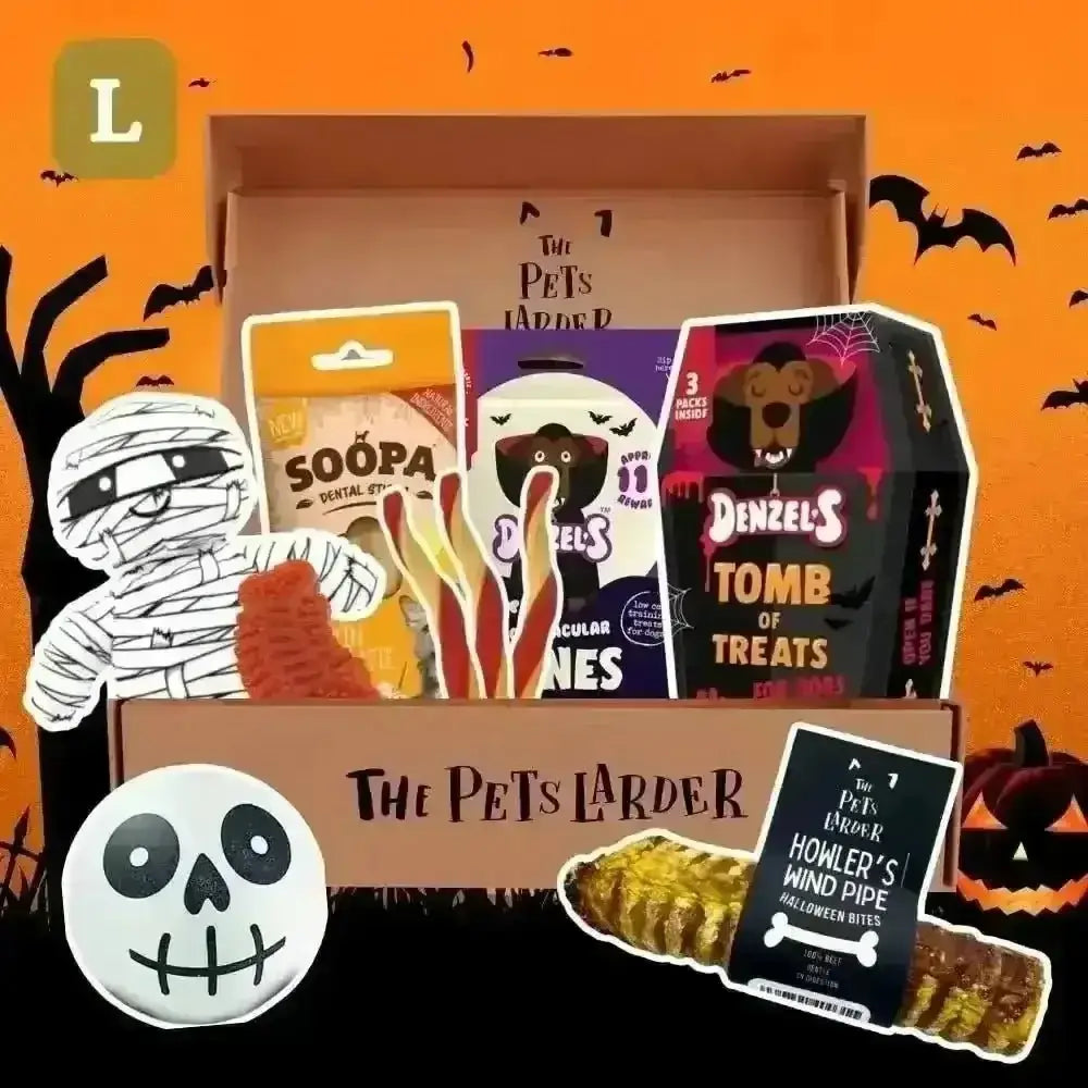 Halloween dog treat box with Denzels Spooktacular Bones and skull sticker