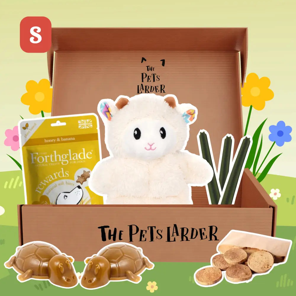White plush lamb toy in Pets Larder Monthly dog treat box
