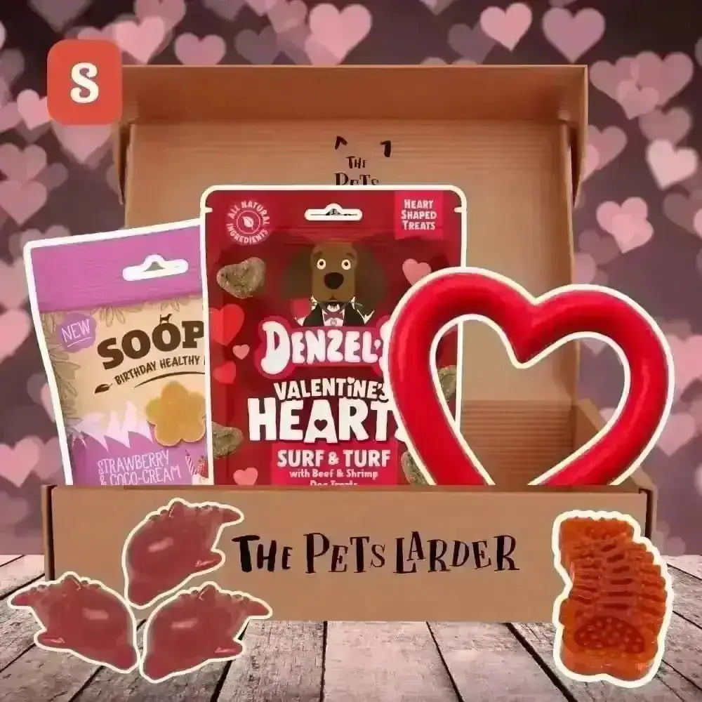 Red heart chew toy in Pets Larder monthly dog treat box