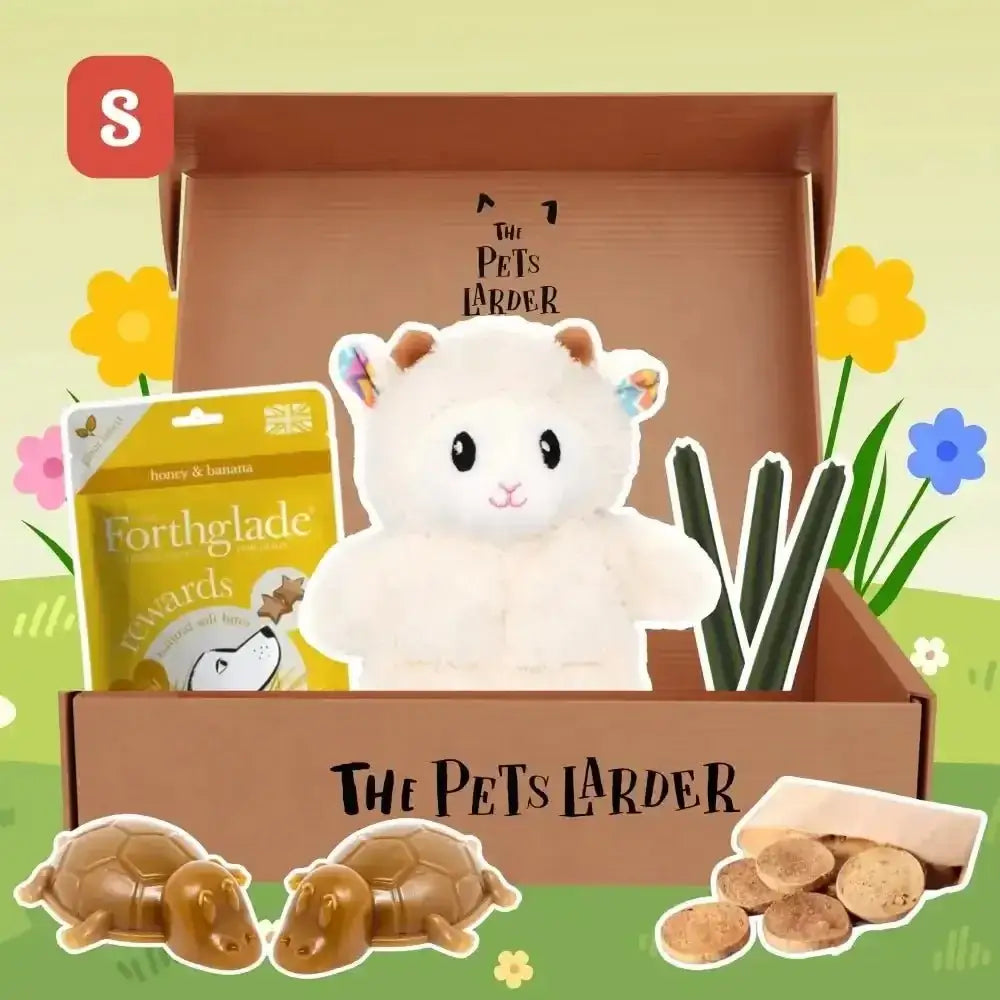 White plush lamb toy in Pets Larder Monthly dog treat box