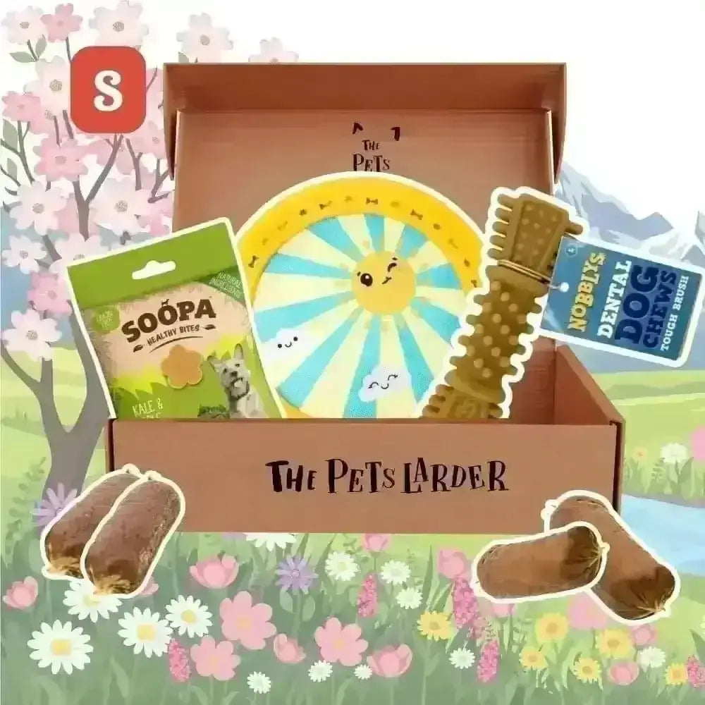 The Pets Larder - Monthly Treat Subscription Box for Dogs Small - Natural Treats | Pet Shop