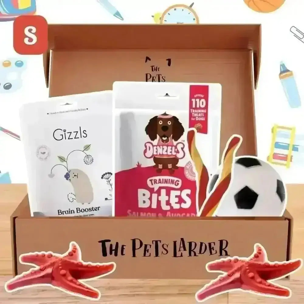 Denzel’s salmon and avocado training bites in The Pets Larder monthly treat box