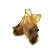 Pets Larder XL Cow Ears x5 leather chew toy in amber brown hues