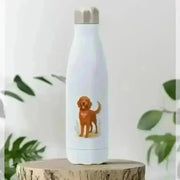 Pets Personalised Insulated White Water Bottle with Orange Dog Design