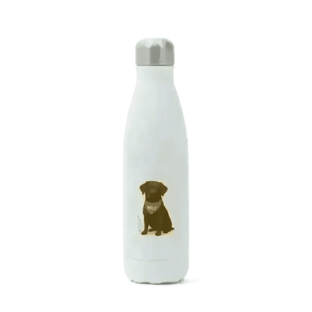 Pets personalised insulated water bottle with brown dog design