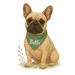 Pets Personalised Organic Tote Bag - French Bull Dog - Printed Bag