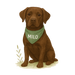 Pets Personalised Organic Tote Bag - Labrador - Printed Bag