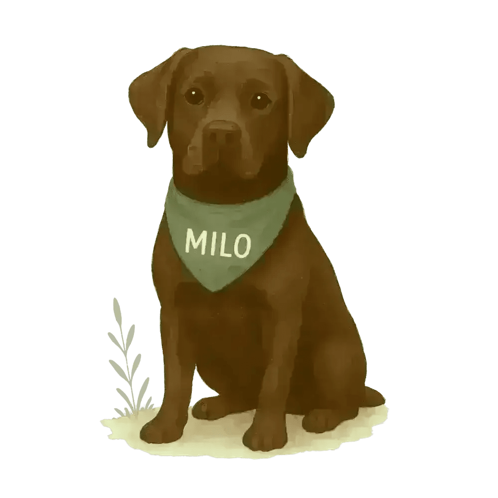 Chocolate Labrador Retriever Milo Sticker on Certified Organic Cotton Tote Bag