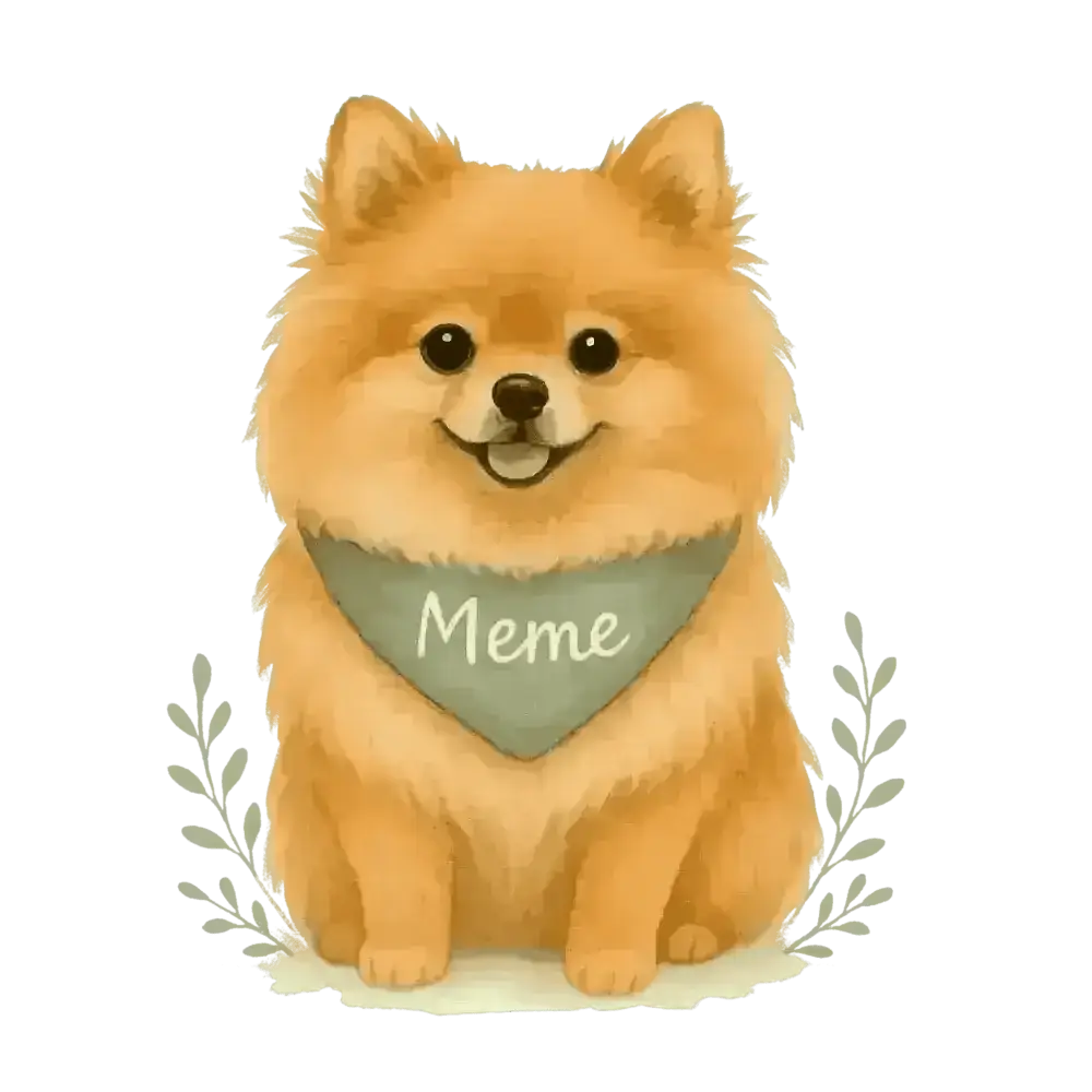 Orange Pomeranian dog sticker on certified organic cotton twill weave tote bag