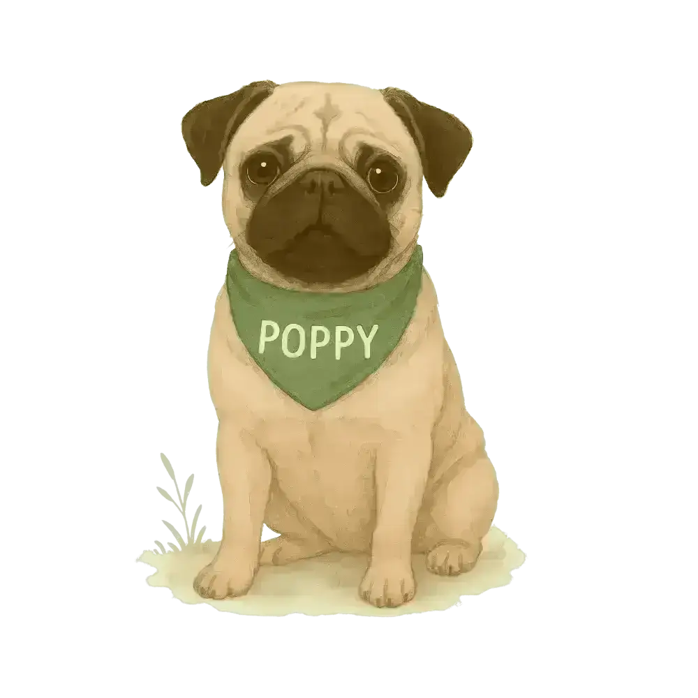 Green bandana pug sticker with poppy text on certified organic cotton twill weave tote bag